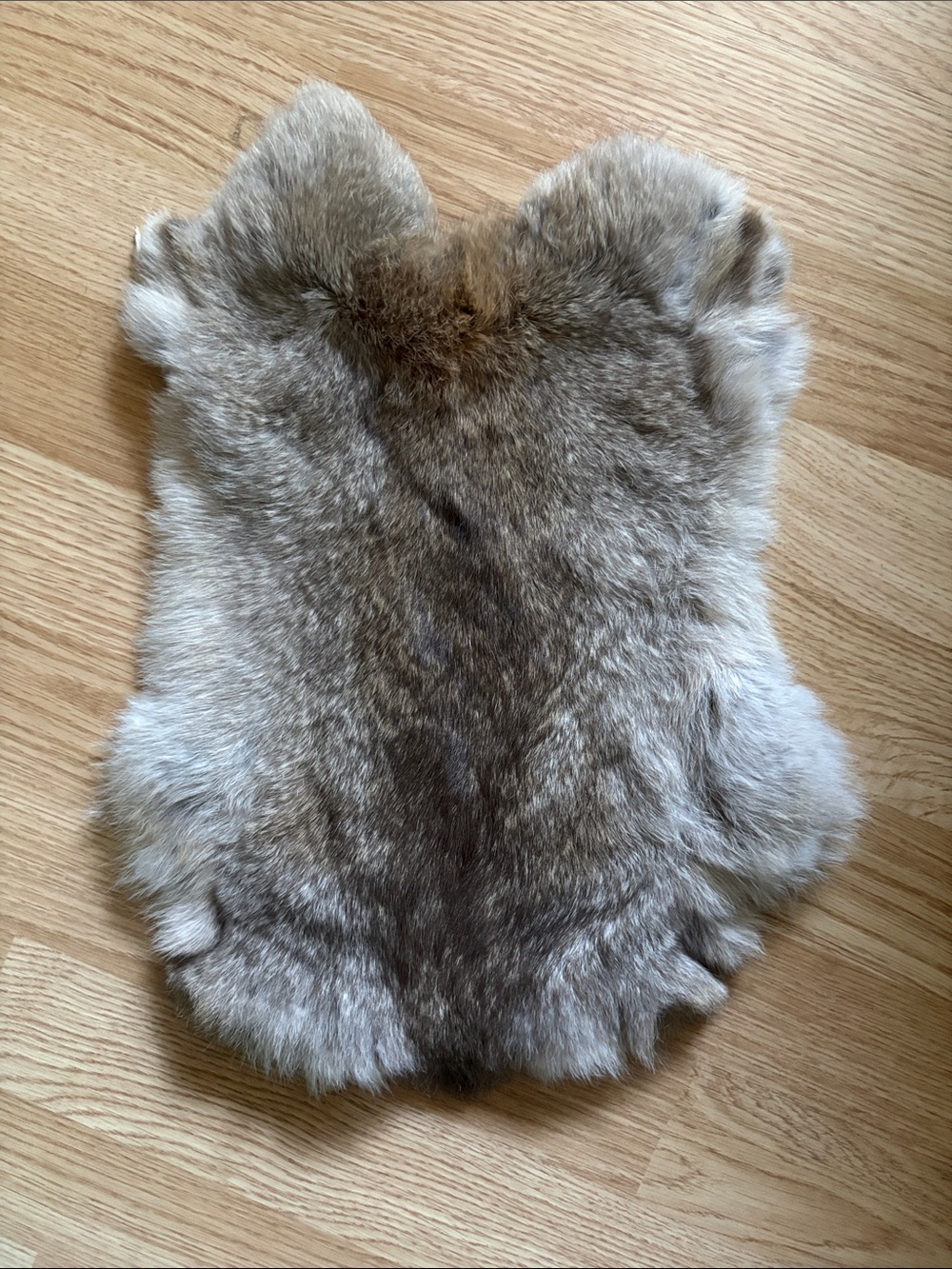 B0102 rabbit pelt